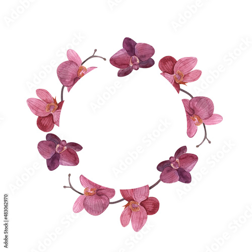 pink and blue orchids  a watercolor wreath of phalaenopsis suitable for postcards and invitations 