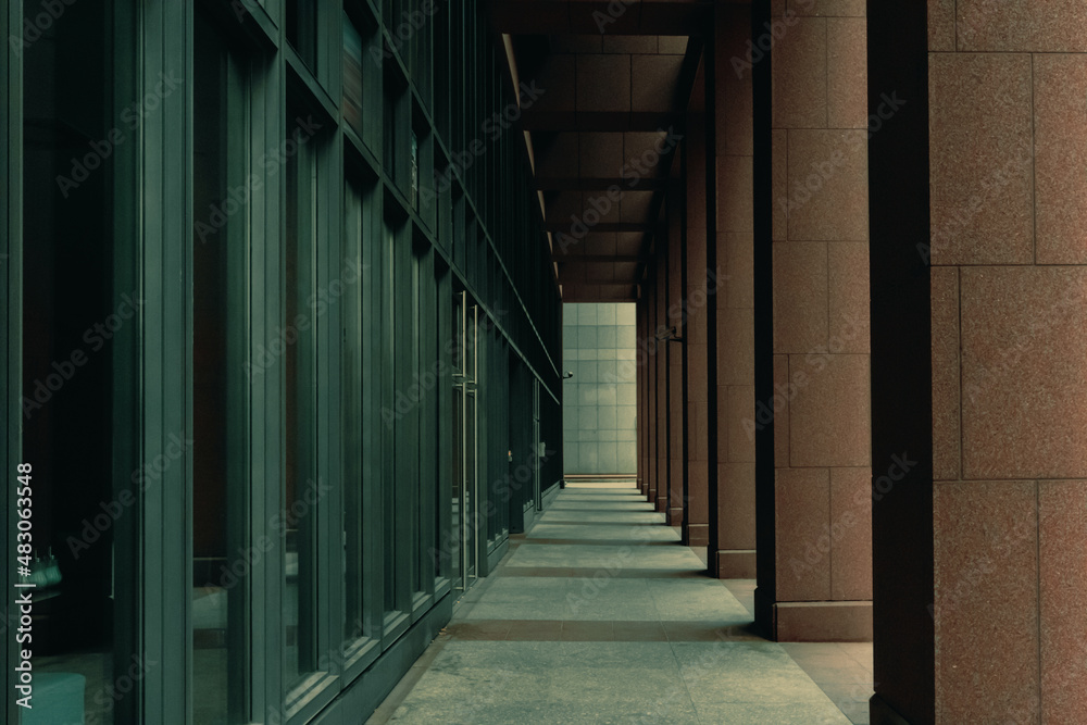 Columns and facade of a business building in a classic style in dark colors