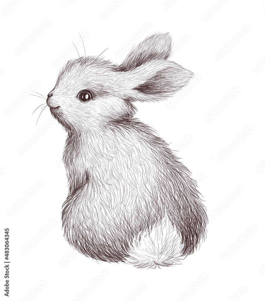 Cute bunny animal character isolated. Watercolor hand drawn sketch  illustration. For prints, baby cards, sublimation, nursery designs. Stock  Illustration | Adobe Stock