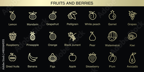 Fruits and berries icons set. Healthy food. Trend vector illustrations for web design and print.