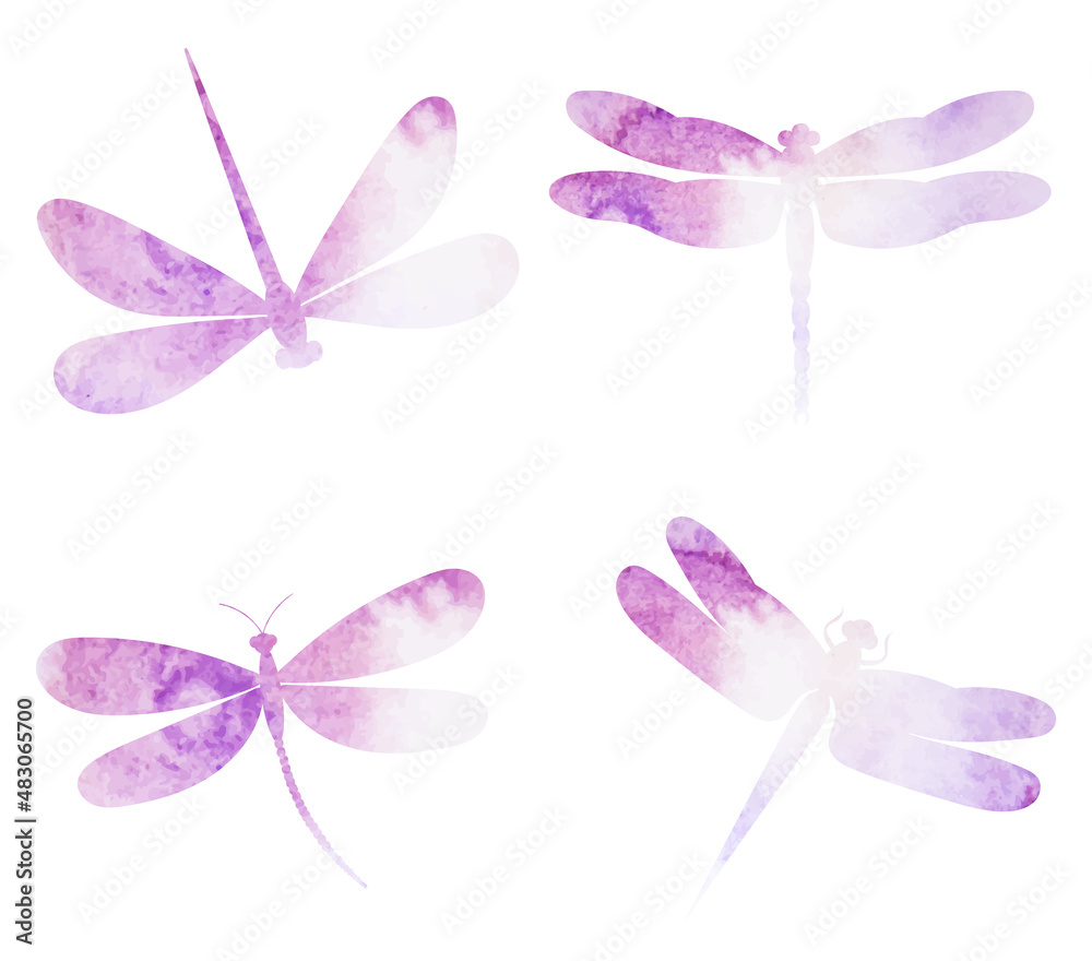 Fototapeta premium dragonflies flying watercolor silhouette,on white background,vector,isolated