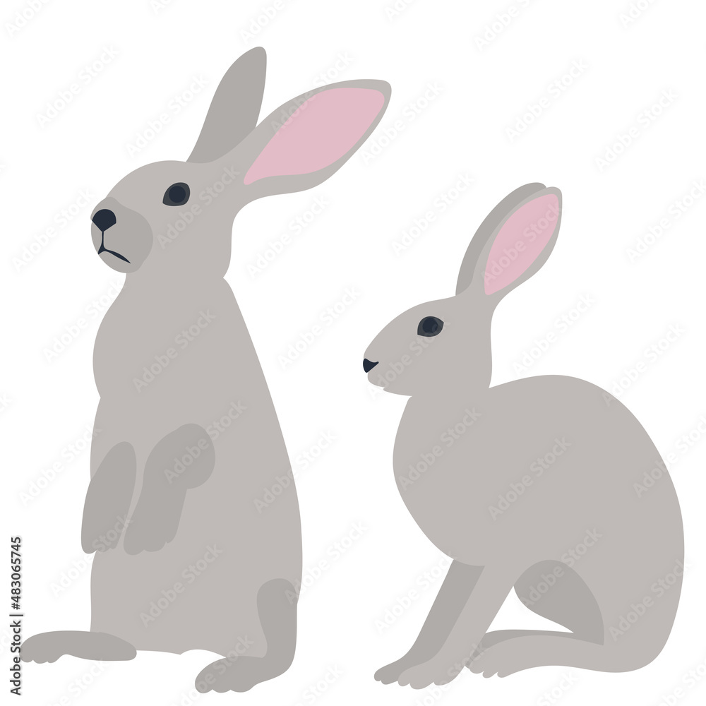 Obraz premium hares, rabbits on a white background isolated, vector