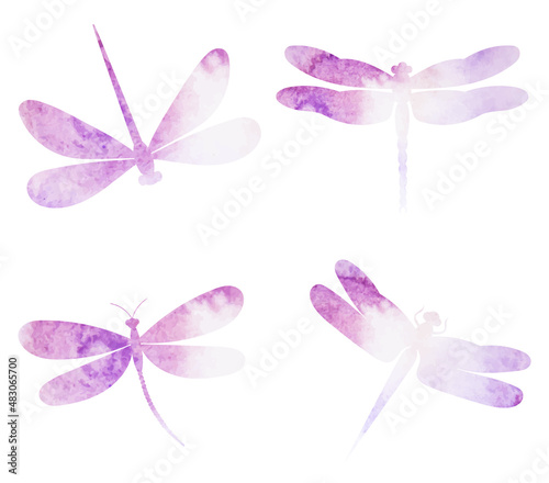dragonflies flying watercolor silhouette,on white background,vector,isolated © zolotons