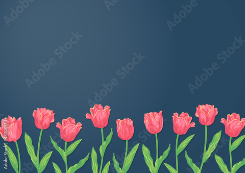 赤いチューリップの花とカラーの背景　ベクターイラスト素材