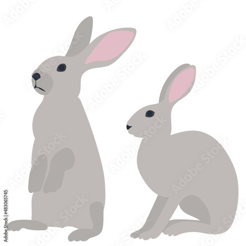hares, rabbits on a white background isolated, vector