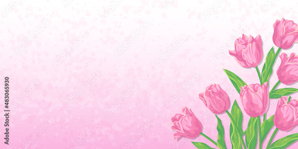 ピンクのチューリップの花と淡いカラーの背景　ベクターイラスト素材