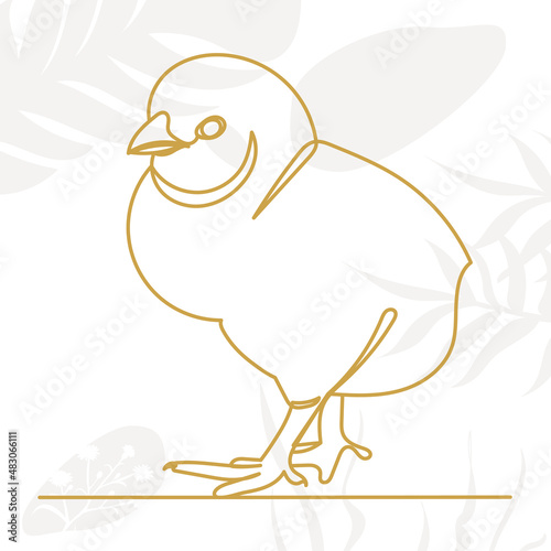 chick line drawing on abstract background ,vector, isolated