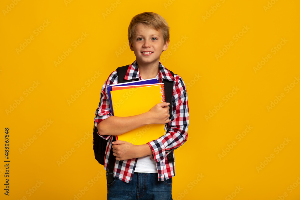 Smiling calm european young boy with books and notebooks ready to study Smiling calm european young boy with books and notebooks ready to study