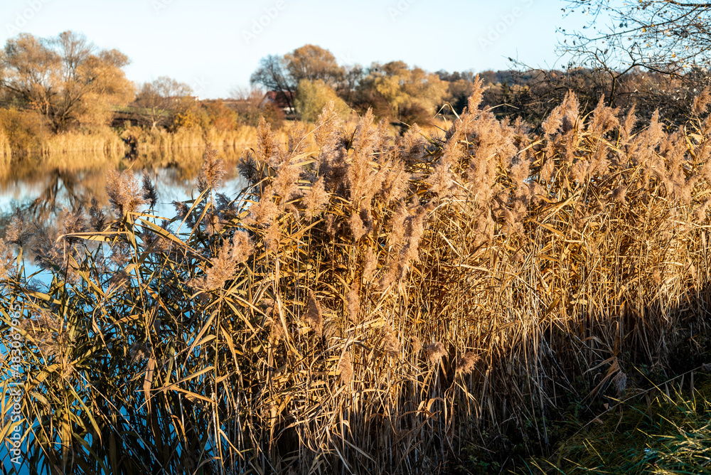Fototapeta premium Zalew Zasławicki w Krakowie