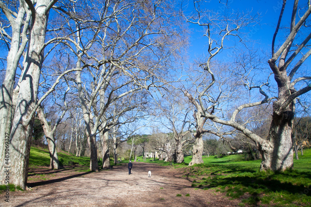 Obraz premium Uomo con cane