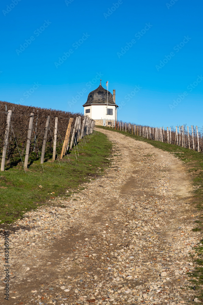 View along a path in the vineyards near Eltville am Rhein/Germany to a vineyard cottage