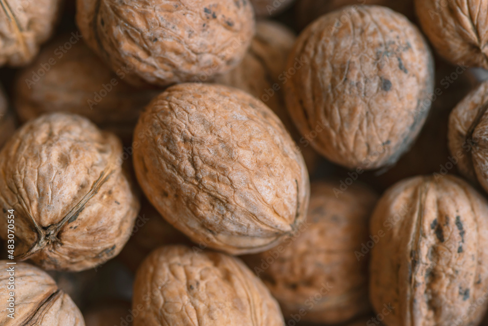 Lot of walnuts in the pile.Background of fresh walnuts. Lot of walnuts in the pile.Background of fresh walnuts.