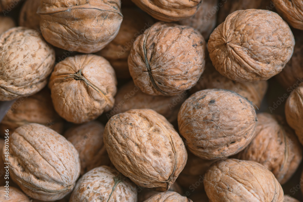 Lot of walnuts in the pile.Background of fresh walnuts. Lot of walnuts in the pile.Background of fresh walnuts.