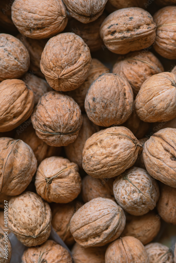 Lot of walnuts in the pile.Background of fresh walnuts. Lot of walnuts in the pile.Background of fresh walnuts.