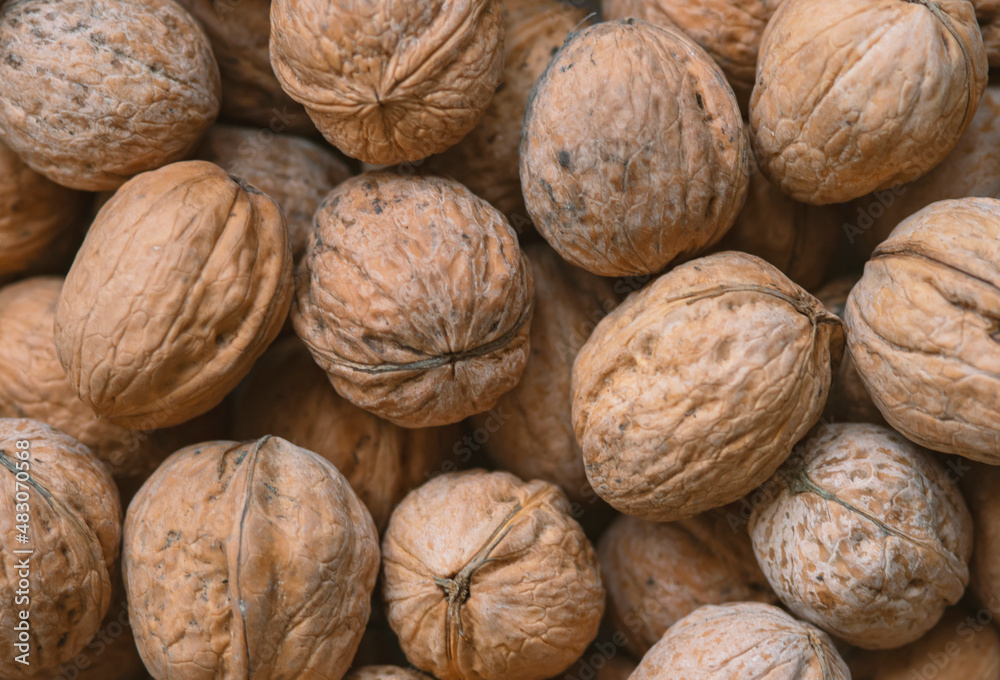 Lot of walnuts in the pile.Background of fresh walnuts. Lot of walnuts in the pile.Background of fresh walnuts.