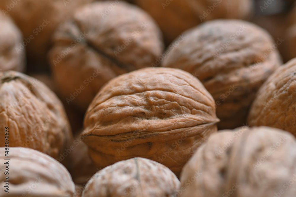 Lot of walnuts in the pile.Background of fresh walnuts. Lot of walnuts in the pile.Background of fresh walnuts.
