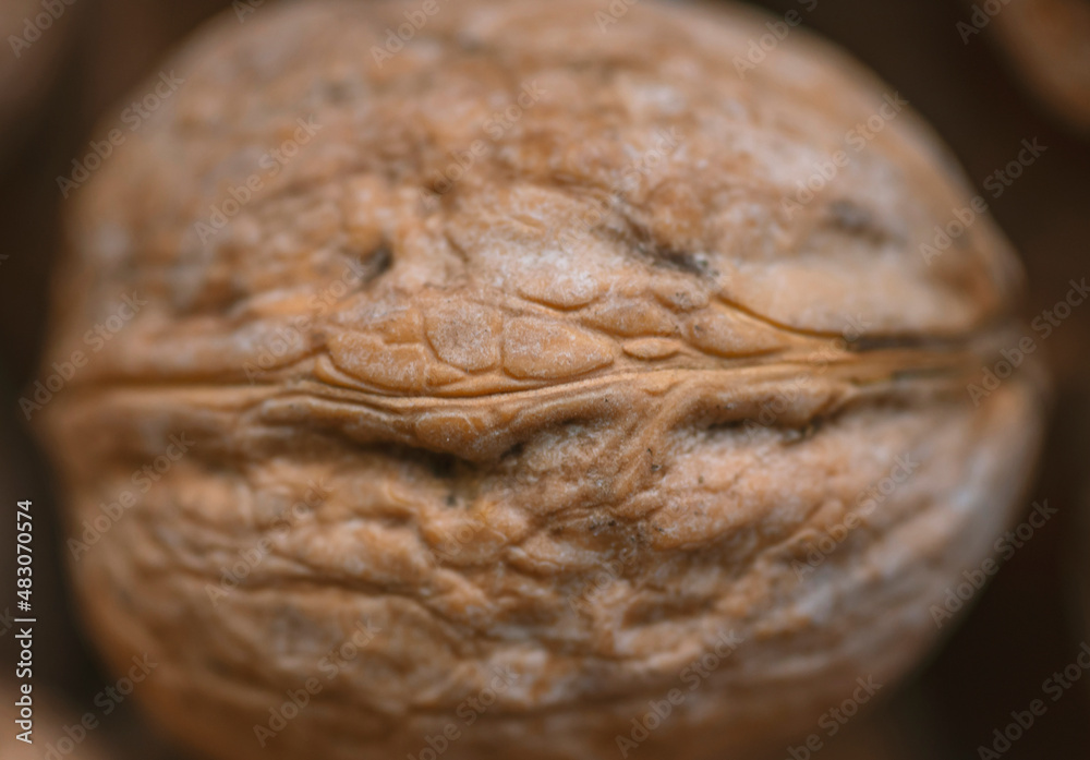 Lot of  walnuts in the pile.Background of fresh walnuts.