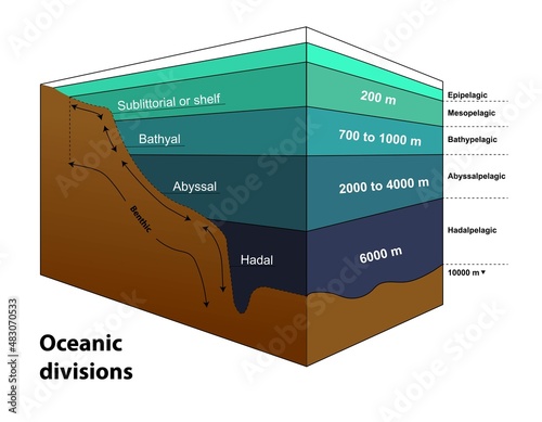 The major oceanic zones, based on depth and biophysical conditions