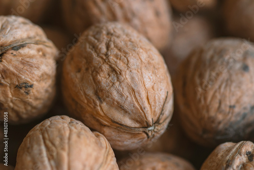 Lot of  walnuts in the pile.Background of fresh walnuts.