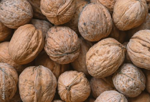 Lot of walnuts in the pile.Background of fresh walnuts.