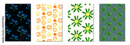 水彩たんぽぽときのみのパターンセット