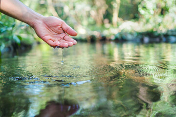 hand touches  water in the pond