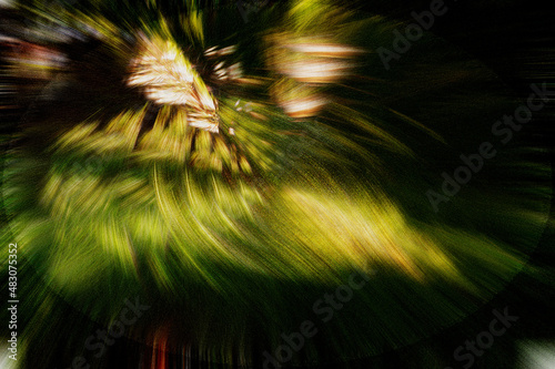 PAISAGEM CORES BRILHO VERDE MOVIMENTOS LUZ