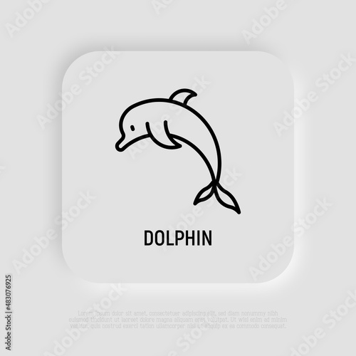 Cartoon jumping  dolphin thin line icon. Modern vector illustration.