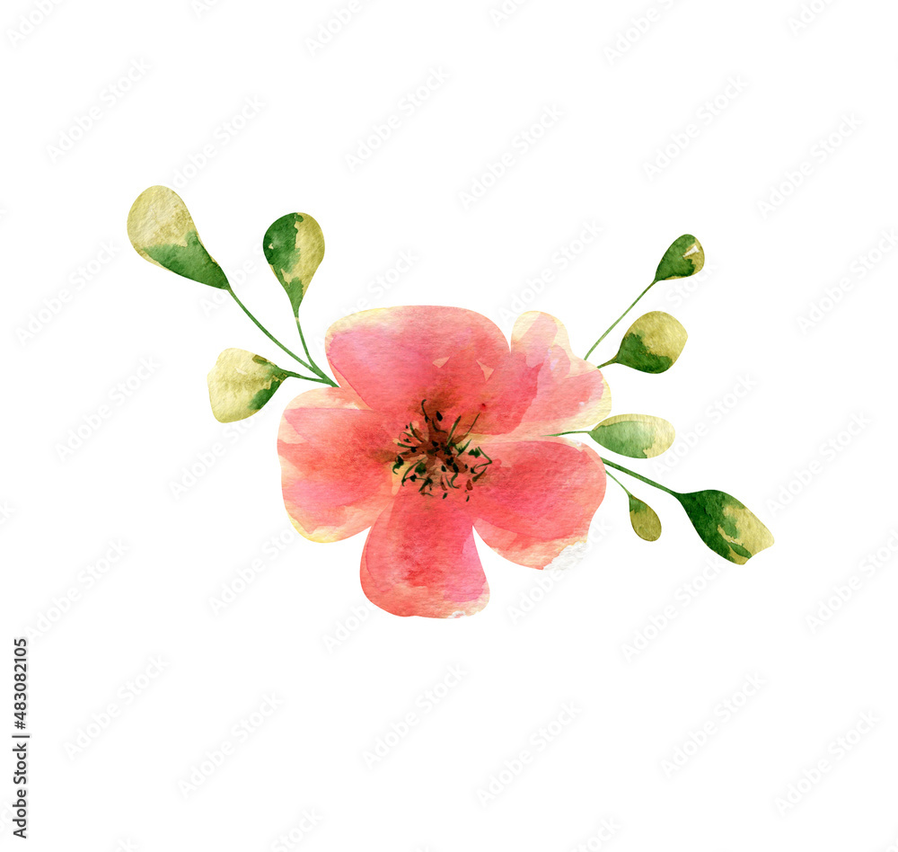 Naklejka premium Watercolor roses composition. Botanical illustration of abstract tea-rose, garden rose flower with leaves and branch for wedding invitation, greeting cards, postcards