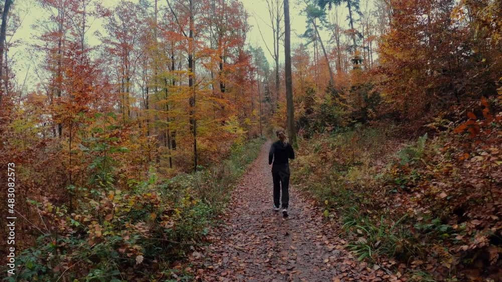 Person jogs in the forest Person jogs in the forest