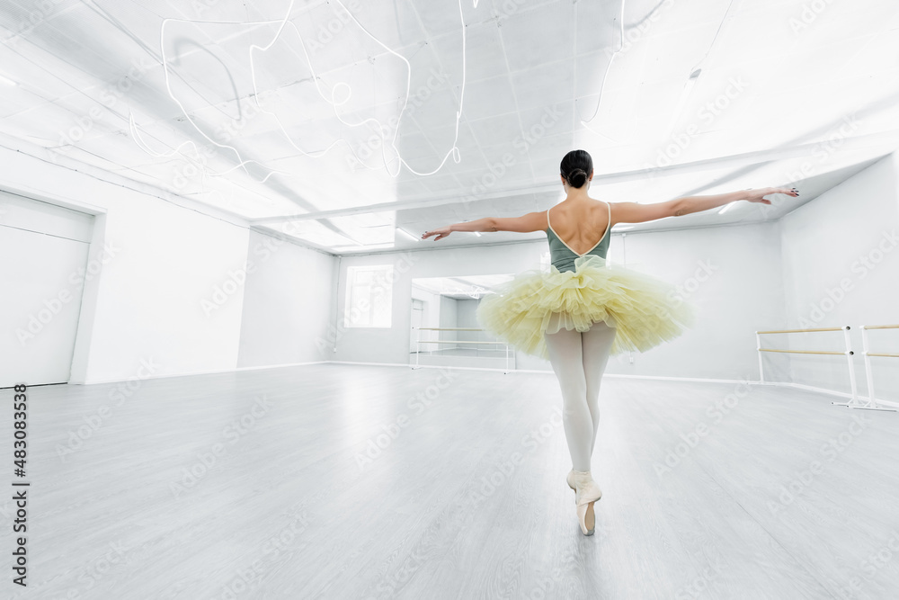 back view of ballerina in tutu dancing with outstretched hands in studio back view of ballerina in tutu dancing with outstretched hands in studio