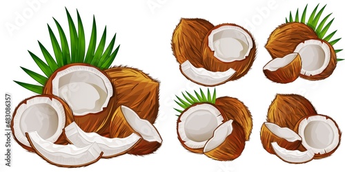 Coconut whole and half with leaf isolated set on white background