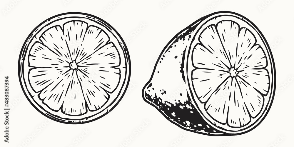 Monochrome design of citrus fruit Monochrome design of citrus fruit
