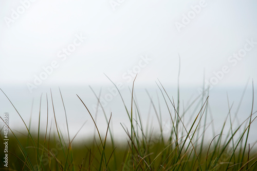 Fototapeta Naklejka Na Ścianę i Meble -  Dune grass with a minimal blurry sea in the background 