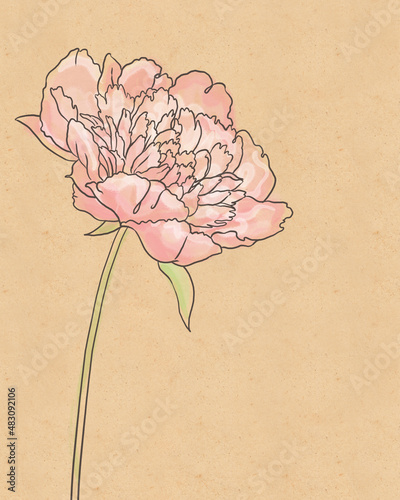 Vintage hand-drawing background with flowers. Watercolor illustration isolate...