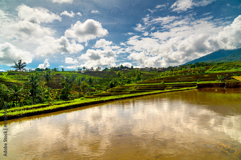 Jatiluwih rice terraces, Bali, Indonesia Jatiluwih rice terraces, Bali, Indonesia