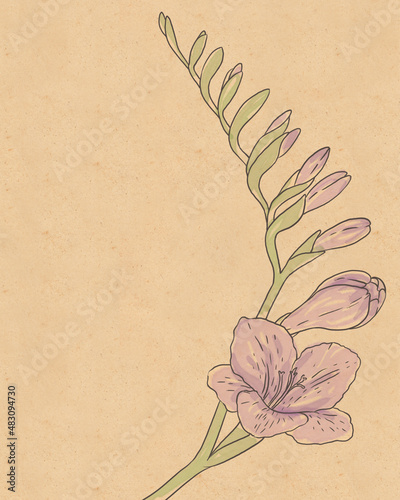 Vintage hand-drawing background with flowers. Watercolor illustration isolate...