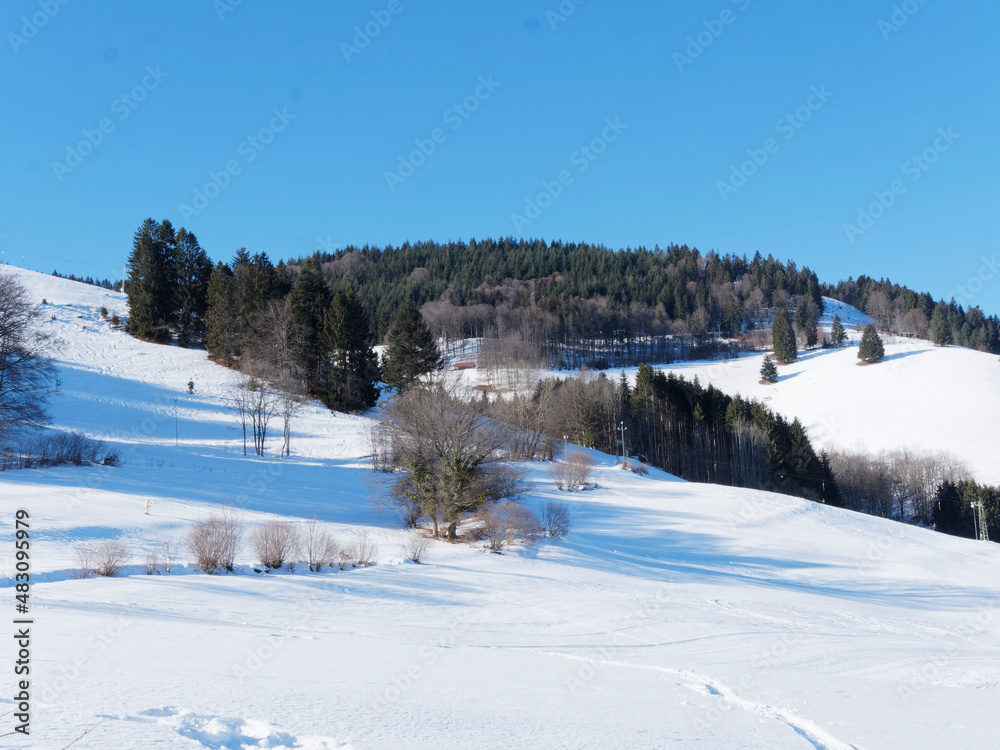 Fröhnd im Schwarzwald . Schneelandschaft und Winterparadies zwischen Tannenbodenhütte und Orsteil Hof. Skipisten, Ski und Langlauf