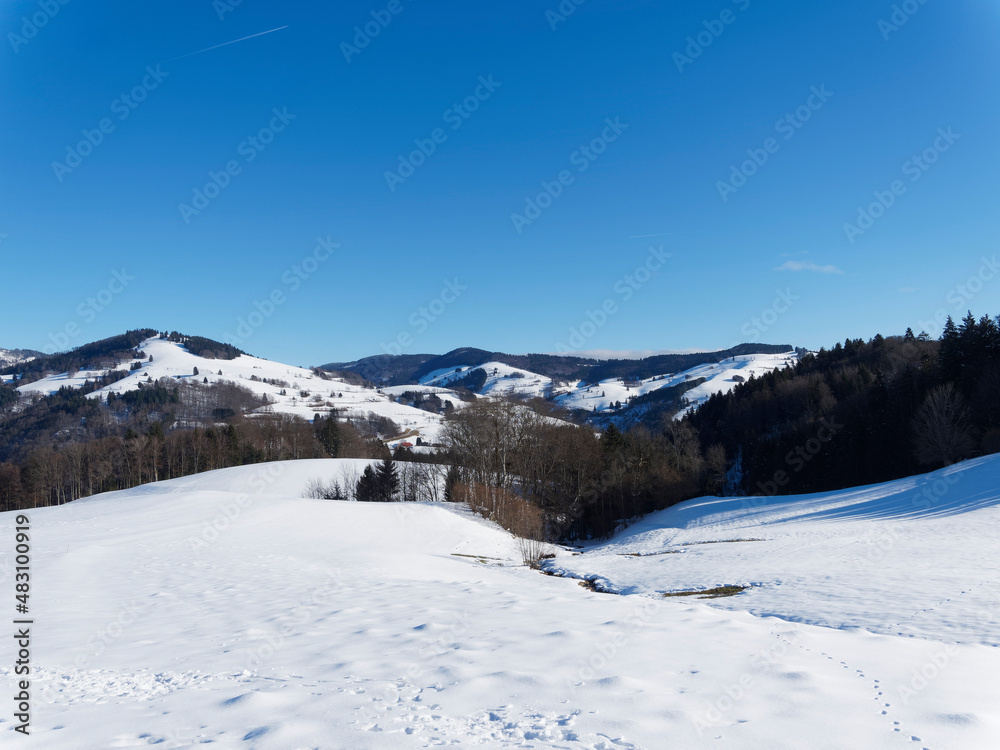 Fröhnd im Schwarzwald mit Blick auf  Winter-Ittenschwander-Horn . Schneelandschaft und Winterparadies