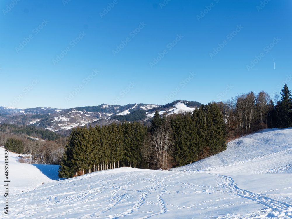 Verschneite Landschaften im schwarzwald mit Blick auf  Fröhnd und Winter-Ittenschwander-Horn