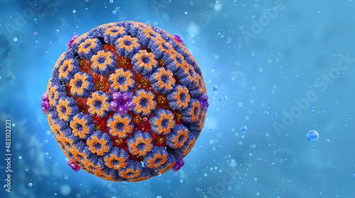 Herpes simplex virus cell model, herpesviridae family viral infection caused by the human herpes virus. Oral, lips, skin HSV-1 and sexually transmitted genital disease HSV-2, 3D medical science image photo
