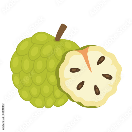 Custard apple whole fruit and half sliced isolated on white background. Cherimoya, annona reticulata, wild sweetsop, soursop, sugar apple icon for package design. Vector illustration.