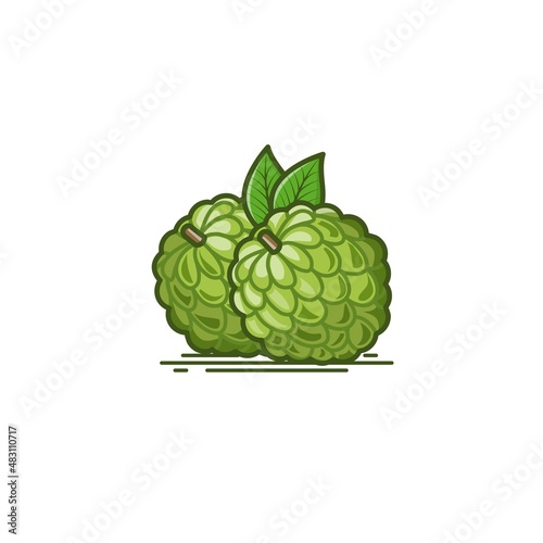 Set of two Annona fruit (Sugar apple) icon vector illustration