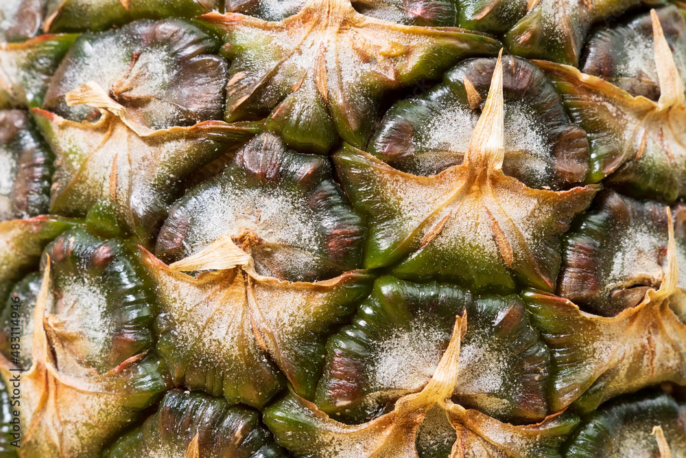 Pineapple skin texture. Close up of pineapple texture background. Fruit food background Pineapple skin texture. Close up of pineapple texture background. Fruit food background