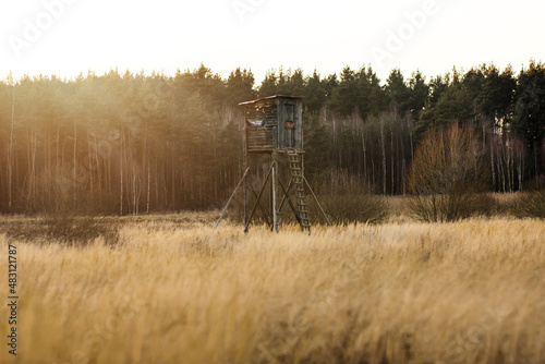 Tree stand in countryside in sunset in the evening.