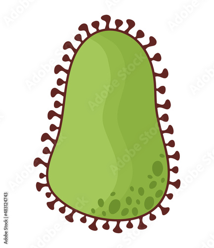 green bacterium illustration