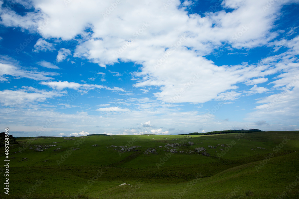 green field and sky