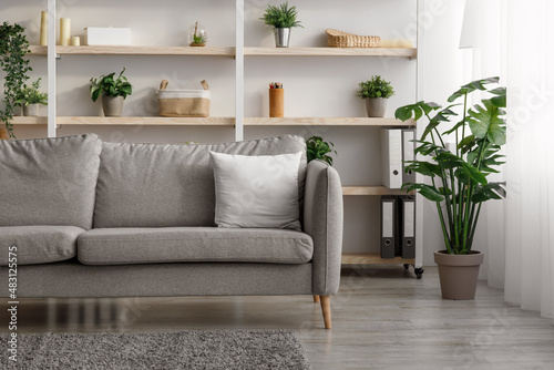 Modern living room interior with sofa  shelves  accessories and plants in pots at home