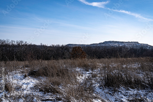 Wallpaper Mural Tree branches and pine along a snowy road on a sunny winter day Torontodigital.ca