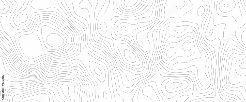Fototapeta premium Topographic background and texture, monochrome image. 3D waves. Cartography Background, Vector illustration of topographic line contour map, black-white design, Luxury black abstract line art.
